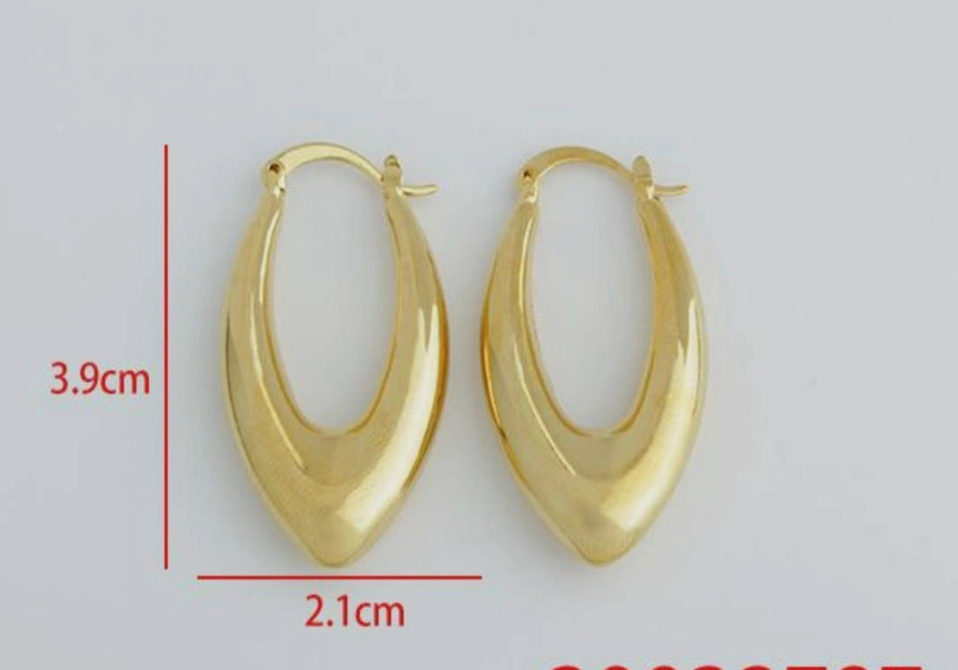 Accessories- Gold Plated Hoop Earrings