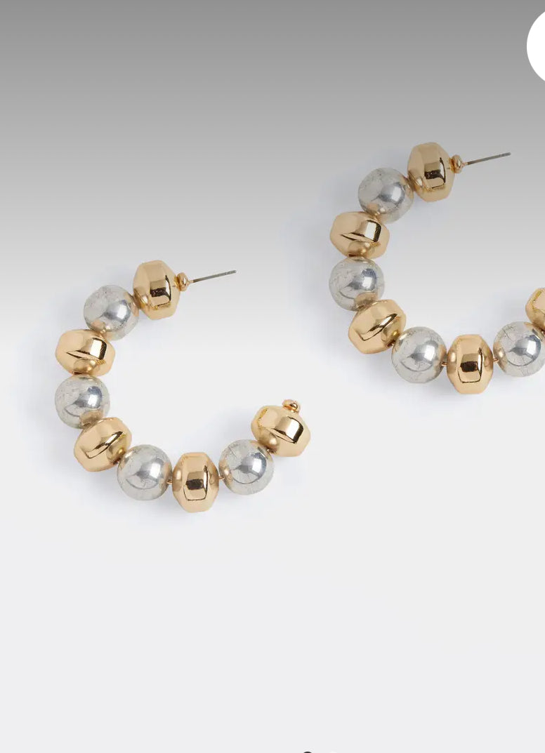 Accessories- Mixed Metal Earrings