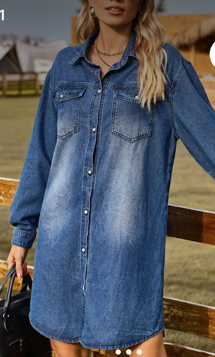 Dresses- Denim Dress