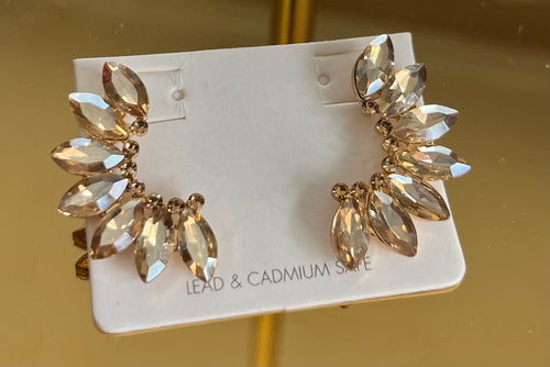 Accessories-Large Crystal Earrings