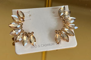 Accessories-Large Crystal Earrings