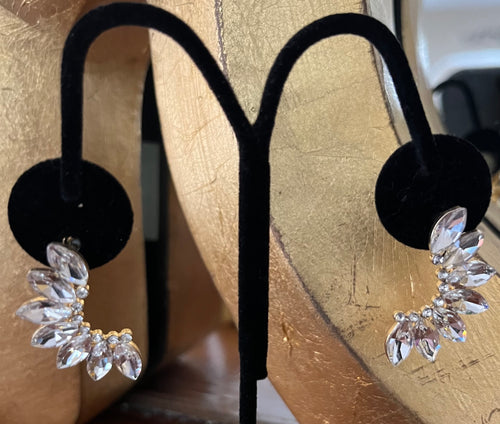 Accessories- Crystal Hoop Earrings