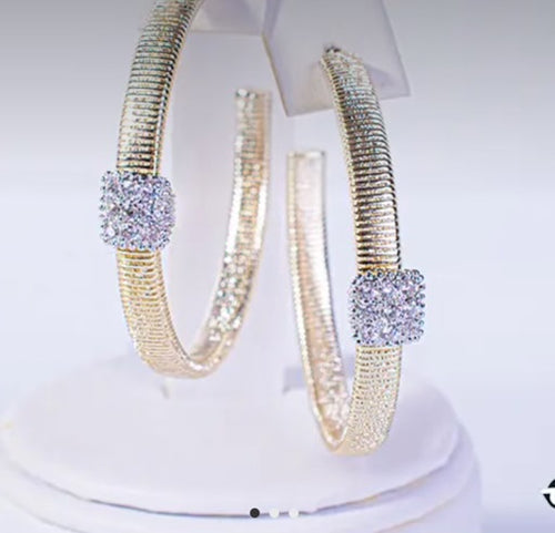 Accessories- Crystal Hoop Earrings